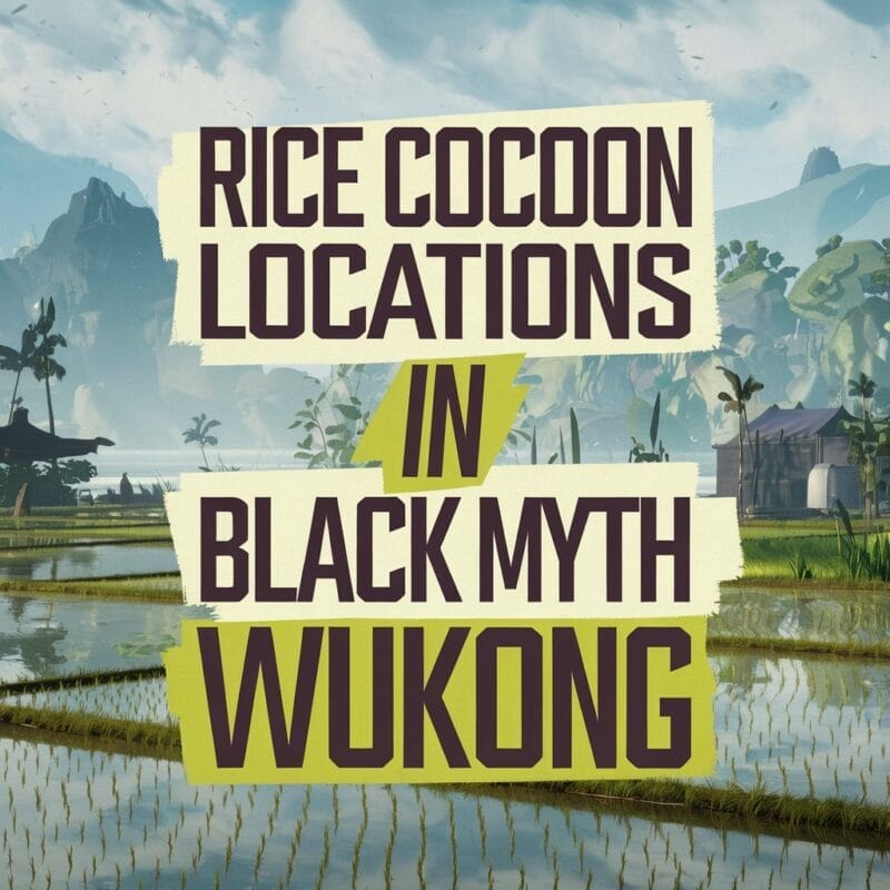 rice cocoon locations